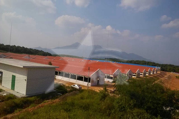 常德建材市場什么樣的樹脂瓦質量好